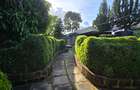 0.25 ac Residential Land at Kamakis - 12