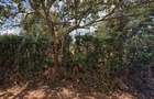 1 ac Land in Nyeri - 2