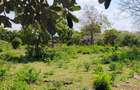 Land in Bofa - 1