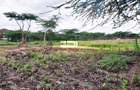 5 ac Commercial Land in South B - 3