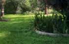 5 ac Land at Kabarnet Gardens - 7