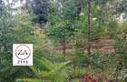 0.125 ac Land at Kasphat Estate - 7