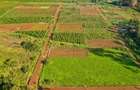 0.125 ac Land in Ruiru - 4