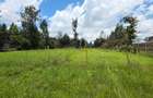 0.125 ac Land at Matasia - 4