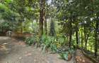 4 Bed House with En Suite at Gigiri - 5
