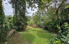 4 Bed House with En Suite in Loresho - 19