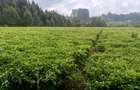 1 ac Land at Riara Ridge - 4