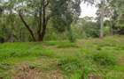 1 ac Land in Muthaiga - 1