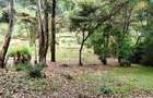 0.741 ac Land in Ruaka - 5