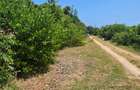 7 ac Land at Shanzu - 3
