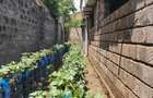 Land in Murang'a County - 7