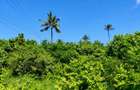 Commercial Land in Malindi - 3