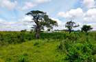 506 m² Land at Mavueni - Mariakani Bypass - 6