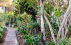 1 Bed House with En Suite in Kitisuru - 12