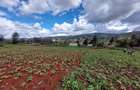 Land at Kibiko - 8