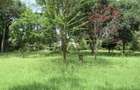 Land at Koitobos Rd - 3