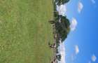 21 ac Land in Tigoni - 6