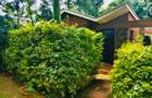 1 Bed House with Garden in Karen - 3