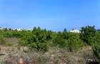 900 m² Land at Watamu 3Rd Row Beach - 9