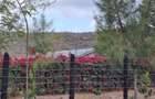 505 m² Residential Land at Mutongoni Road - 7
