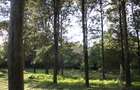 0.10 ha Land at Magadi Road - 9