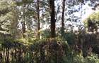 Residential Land at Barabara Mpia - 4