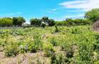 Land at Diani Beach - 7