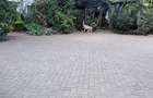 Office with Service Charge Included in Kilimani - 8