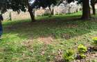 Residential Land at Kerarapon Road - 2
