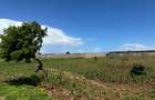 Land in Vipingo - 8