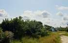 Land at Shanzu - 17