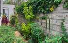 4 Bed Townhouse with En Suite in Kitisuru - 14