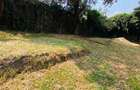 1 ac Land at Banana Raini Road - 6