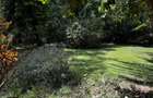 2.7 ac Land in Karen - 4
