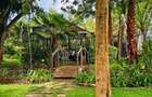 4 Bed House with En Suite in Kitisuru - 3