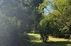 4.5 ac Residential Land in Karen Hardy - 9