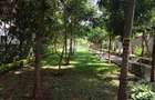 Serviced 1 Bed Apartment with Backup Generator in Nyari - 19