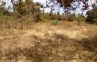 Land at Makuyu - 8