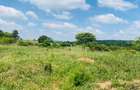 19 ac Land at Kenol-Makutano Highway - 8