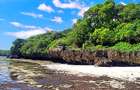 167.5 ac Land at Kuruwitu Beach - 4