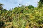 Land at Tiwi Near Diani South Coast - 10