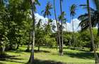 3.9 ac Land at Kikambala Beach - 15
