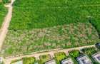 Land in Kwale County - 5