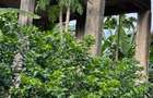 8,093.72 m² Land at Mtwapa - Mtepeni - 3