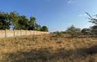 108 ac Land at Kilifi Plantation - 5