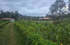 1 ac Land at Gicharani - 2