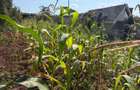 0.025 ac Land in Ngong - 3