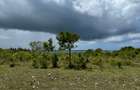 10 ac Land at Diani - 6