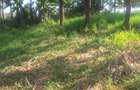 1.2 ac Land in Ngong - 15