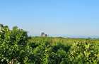 505 ha Residential Land at Kisumu Riat - 5